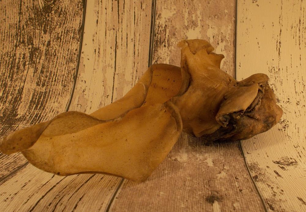 Rinderohren mit Muschel