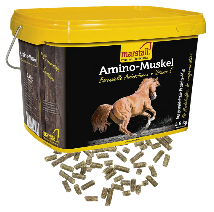 Marstall Amino Muskel Plus 10 kg Eimer