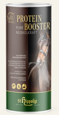 WES Protein Booster 750 g Dose