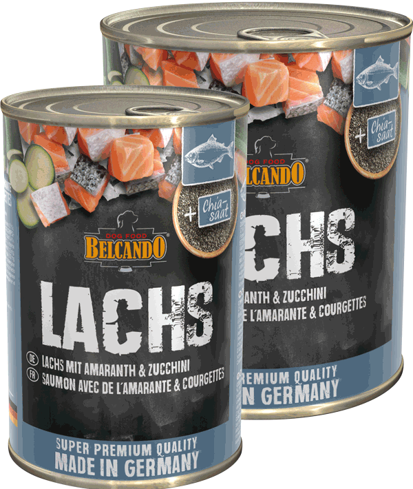 Belcando - Lachs mit Amaranth & Zucchini Belcando - Lachs mit Amaranth & Zucchini