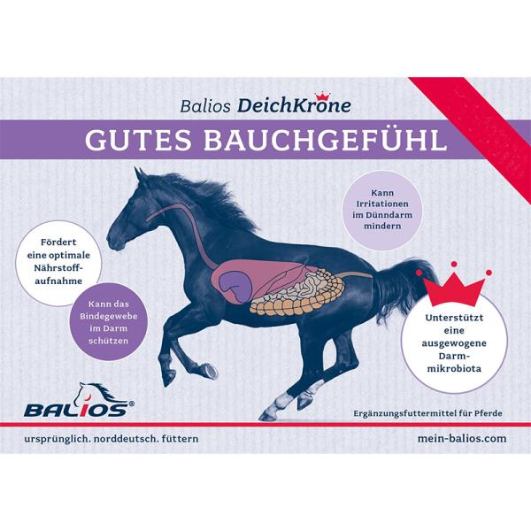 Balios Gutes Bauchgefühl 10 kg *