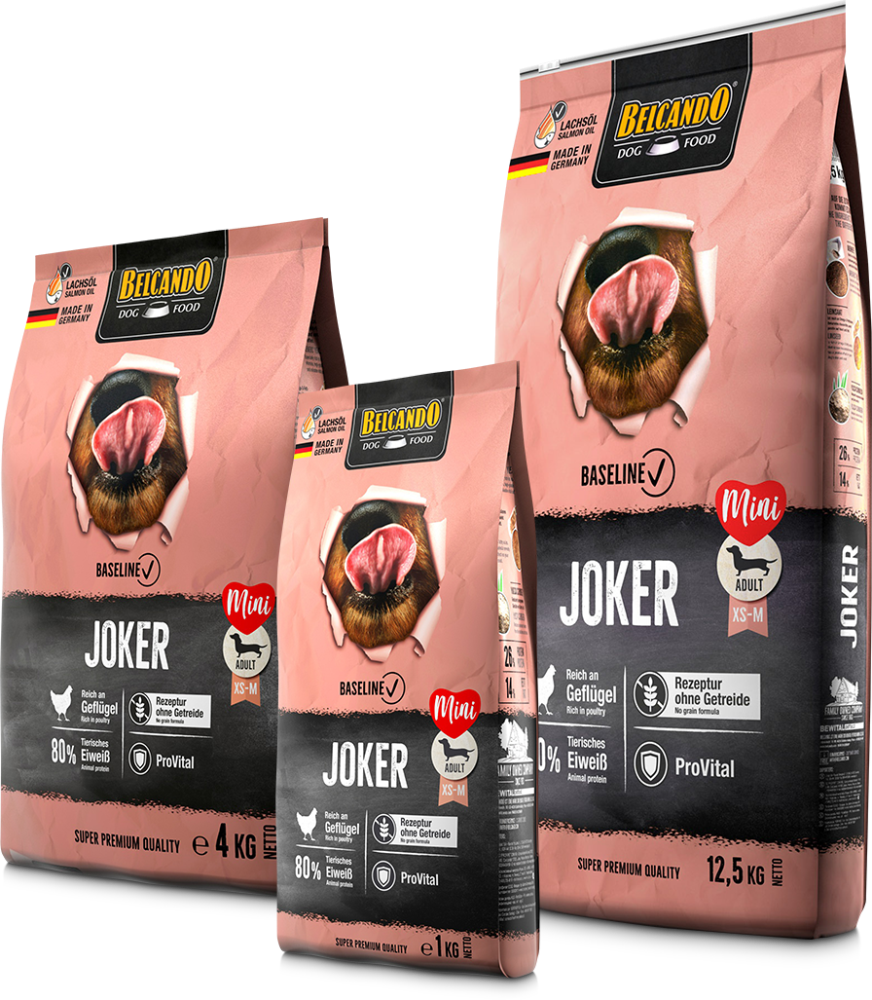 BELCANDO Joker GF BELCANDO Joker GF